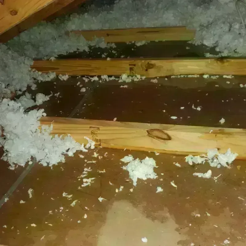 Attic Water Damage in Conway, FL