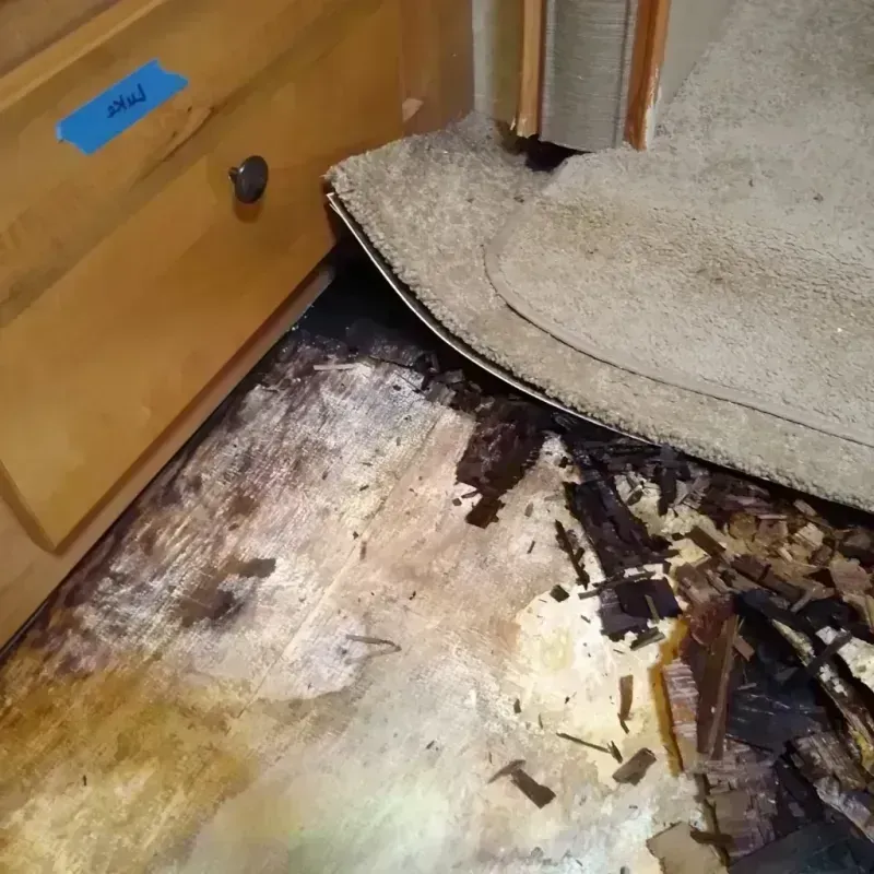 Wood Floor Water Damage in Conway, FL